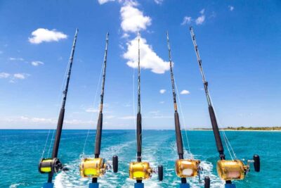 How Much Does A Fishing Charter Cost? With 11 Examples – Fish Investigator