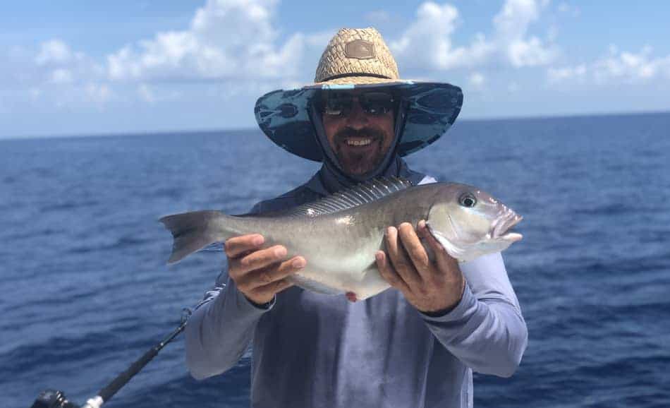 Tilefish caught on boat 