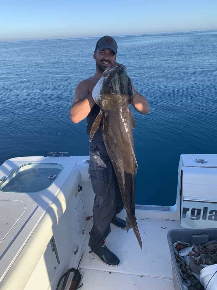 Cobia Caught Using Fishing Tips
