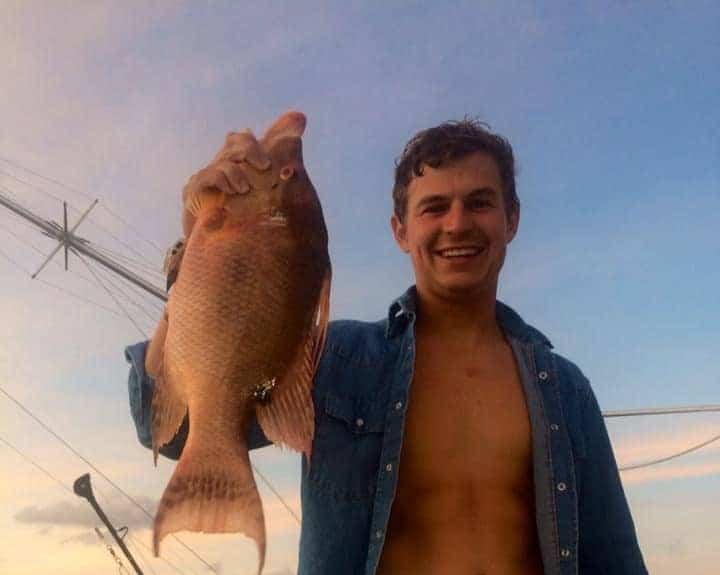 Hogfish caught using fishing tips